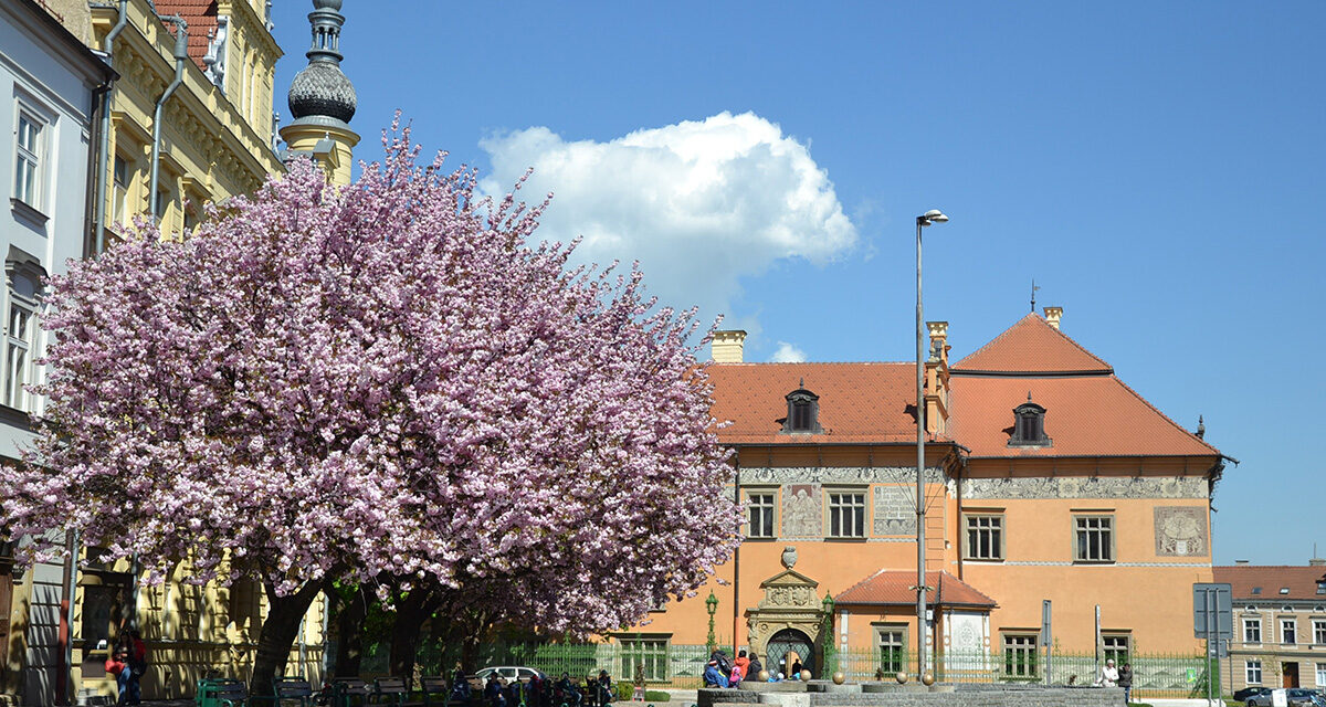 Na nádvoří zámku budete moci nakouknout do studny