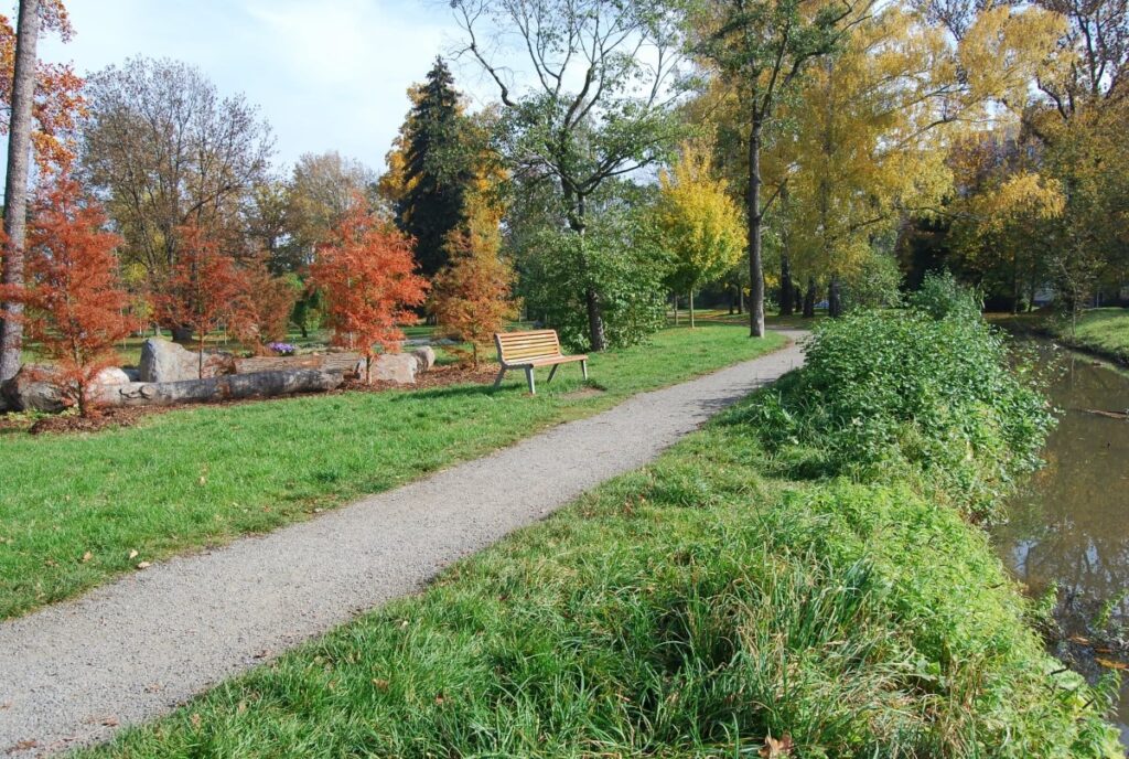 zeleň